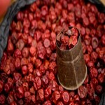 خرید البالو خشک شده با نازل ترین قیمت بازار