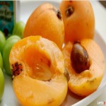 قیمت خرید ازگیل جنگلی از فروشنده معتبر در روسیه
