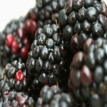 سفارش عمده شاه توت خوش رنگ با قیمت ارزان