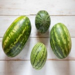 فروش هندوانه بیضی شیرین با قیمت بی نظیر