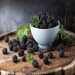 فروش شاه توت  درجه یک به صورت خشک تازه و منجمد
