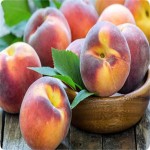 خرید محصول هلو زعفرانی به صورت عمده ای با قیمت مناسب