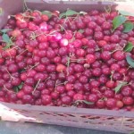 فروش آلبالو درجه یک در اصفهان به صورت سبدی