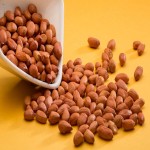 خرید بهترین بادام زمینی تازه ساده و شور به قیمت تولید کننده