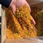 فروش ویژه کشمش پلویی بدون هسته به صورت عمده