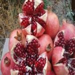 خرید اینترنتی انار درجه یک ساوه با تناژ بالا و قیمت پایین