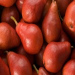 فروش گلابی آنجو قرمز درختی با قیمت عمده