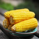 فروش بلال مکزیکی ارزان صادراتی به روسیه