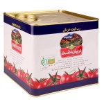 رب گوجه فرنگی دریان دشت - 9000 گرم