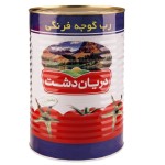 رب گوجه فرنگی دریان دشت - 4500 گرم