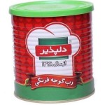 رب گوجه فرنگی دلپذیر 800 گرمی