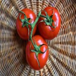 قیمت خرید گوجه فرنگی درجه یک در تهران