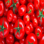 قیمت فروش گوجه فرنگی گیلاسی در میدان تره بار