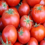 خرید مستقیم گوجه فرنگی قرمز از تولید کننده برتر