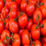 قیمت روز گوجه فرنگی بوته ای در میدان تره بار