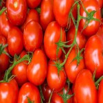 فروش بهترین گوجه فرنگی ارزان قیمت از میدان تره بار