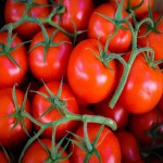 قیمت استثنائی گوجه فرنگی گلخانه ای در بازار تره بار