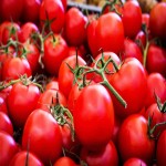 قیمت خرید گوجه فرنگی ارگانیک به صورت عمده