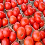 قیمت خرید گوجه فرنگی ربی در بازار بوشهر