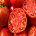 خرید عمده گوجه فرنگی قرمز ربی با مناسب ترین قیمت