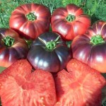 قیمت روز گوجه فرنگی سیاه گلخانه ای در بازار