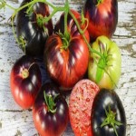 خرید کلی گوجه فرنگی سیاه بسته بندی با قیمت ارزان