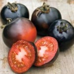 خرید بهترین گوجه فرنگی سیاه با قیمت مقرون به صرفه