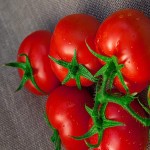 فروش عمده گوجه فرنگی صادراتی بسته بندی شده