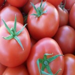 عرضه کلی گوجه فرنگی گلخانه ای سالم با قیمت مناسب