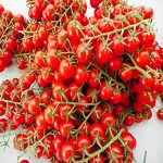 قیمت رقابتی گوجه فرنگی گیلاسی ریز در بازار داخلی
