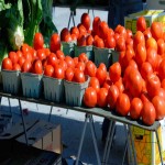 فروش عمده گوجه فرنگی درشت در بسته بندی های کیلویی