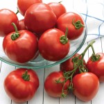 فروش کلی گوجه فرنگی ربی تازه و رسیده با قیمت مناسب