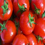 فروش بدون واسطه گوجه فرنگی کبابی ارگانیک با قیمت مناسب