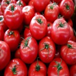 سفارش کلی گوجه فرنگی درشت کبابی با پایین ترین قیمت