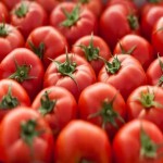 عرضه کلی گوجه فرنگی قرمز مرغوب با قیمت ارزان