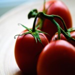 خرید گوجه فرنگی صادراتی با درجه کیفی بالا