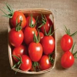 فروش مستقیم گوجه فرنگی گلخانه ای از تره بار با قیمت ارزان