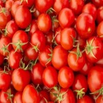 قیمت گوجه گیلاسی تازه به صورت عمده در بازار اهواز