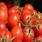 فروش هر تن گوجه فرنگی درختی ارگانیک با قیمت مناسب