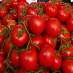 قیمت ویژه گوجه فرنگی گلخانه ای درجه یک