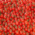 خرید انواع گوجه فرنگی ارگانیک با قیمت مناسب وبهترین کیفیت