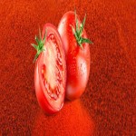 قیمت روز پودر گوجه فرنگی فله ای در بازار مشهد
