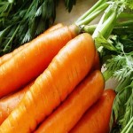 قیمت خرید هویج نارنجی بزرگ و بومی با بهترین کیفیت