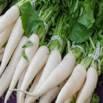 عرضه کلی هویج سفید شیرین گلخانه ای با قیمت مناسب