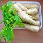 فروش استثنائی هویج سفید ارگانیک و محلی با قیمت مناسب