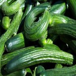خرید خیار ارگانیک سبز با قیمت های استثنایی و بهترین کیفیت