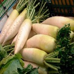 خرید مستقیم هویج سفید تازه گلخانه ای با قیمت مناسب
