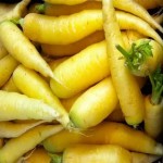 فروش عمده هویج زرد شیرین ایرانی با قیمت مقرون به صرفه