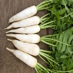 عرضه هویج سفید ارگانیک با قیمت کشاورز در بازار مشهد