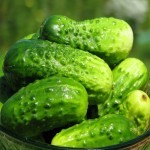خرید خیار سبز خالدار با قیمت مناسب وبا کیفیت